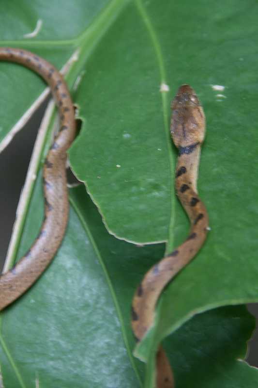 Mexico & Guatemala 2010 - 1094